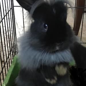 Meet your Posher, Eve